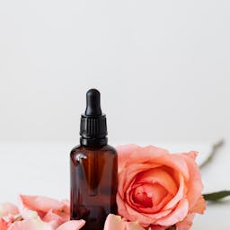 Ayurveda & Wellness
